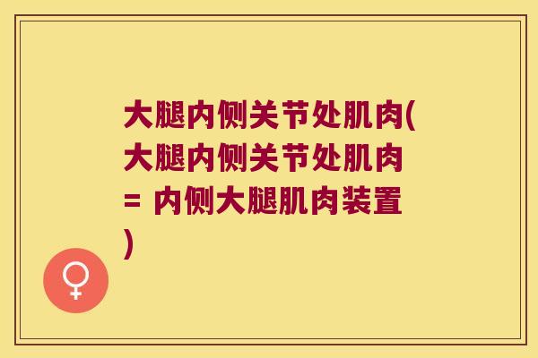 大腿内侧关节处肌肉(大腿内侧关节处肌肉 = 内侧大腿肌肉装置)
