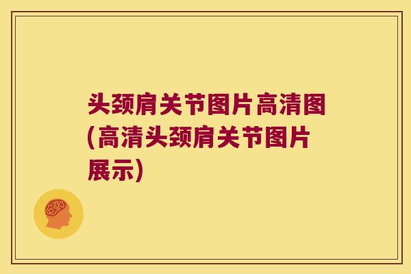 头颈肩关节图片高清图(高清头颈肩关节图片展示)