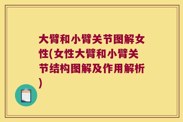 大臂和小臂关节图解女性(女性大臂和小臂关节结构图解及作用解析)
