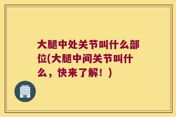 大腿中处关节叫什么部位(大腿中间关节叫什么,快来了解!)