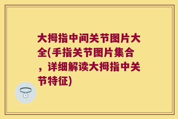 大拇指中间关节图片大全(手指关节图片集合,详细解读大拇指中关节特征)