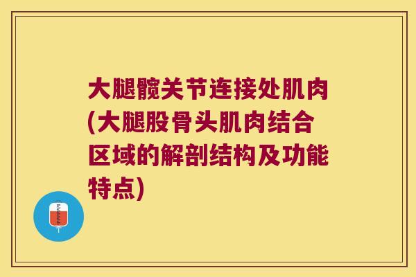 大腿髋关节连接处肌肉(大腿股骨头肌肉结合区域的解剖结构及功能特点)