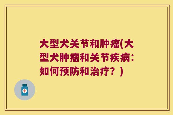 大型犬关节和肿瘤(大型犬肿瘤和关节疾病:如何预防和治疗?)