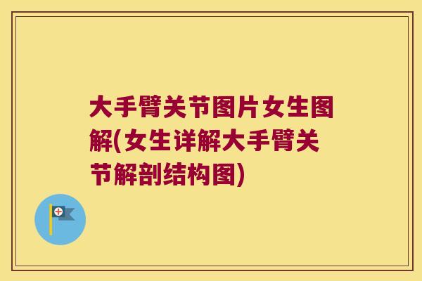大手臂关节图片女生图解(女生详解大手臂关节解剖结构图)