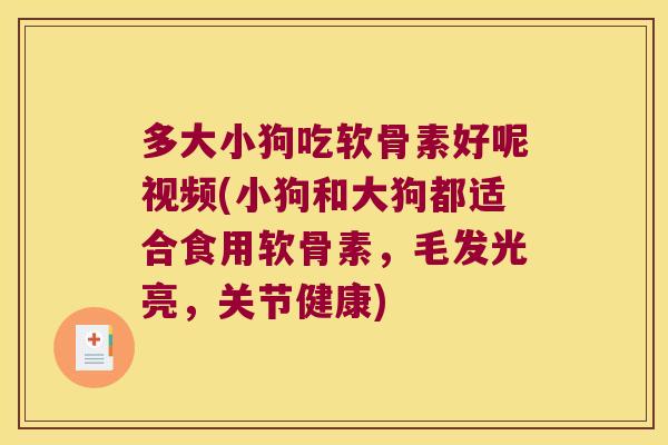 多大小狗吃软骨素好呢视频(小狗和大狗都适合食用软骨素,毛发光亮,关节健康)