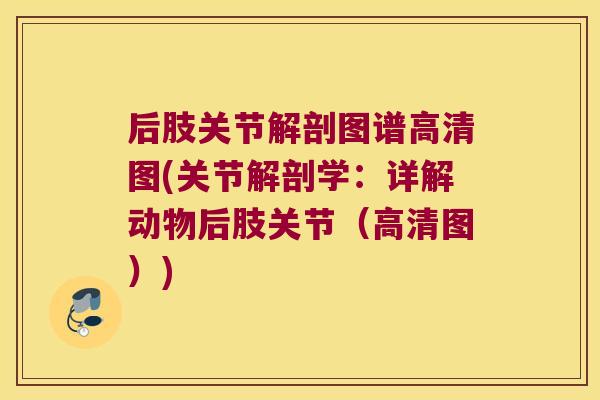 后肢关节解剖图谱高清图(关节解剖学:详解动物后肢关节(高清图))