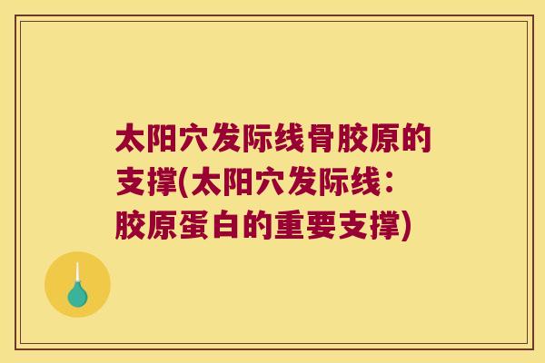 太阳穴发际线骨胶原的支撑(太阳穴发际线:胶原蛋白的重要支撑)