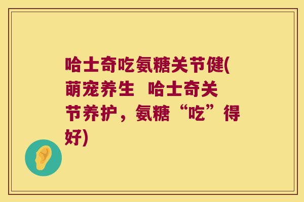 哈士奇吃氨糖关节健(萌宠养生 哈士奇关节养护,氨糖“吃”得好)