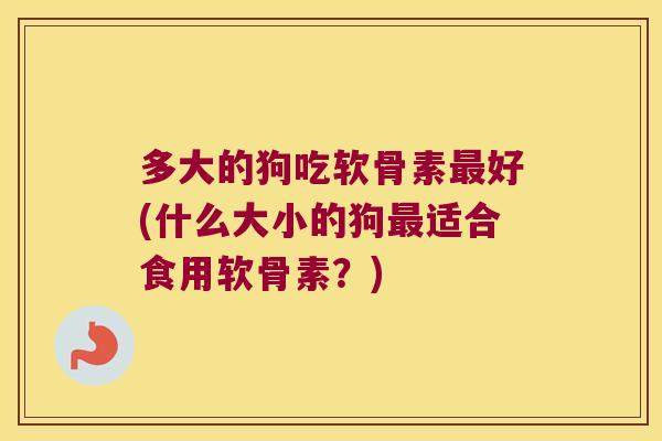 多大的狗吃软骨素最好(什么大小的狗最适合食用软骨素?)