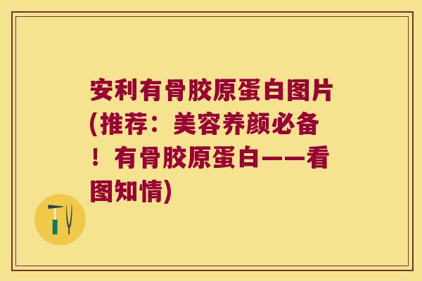 安利有骨胶原蛋白图片(推荐:美容养颜必备!有骨胶原蛋白——看图知情)