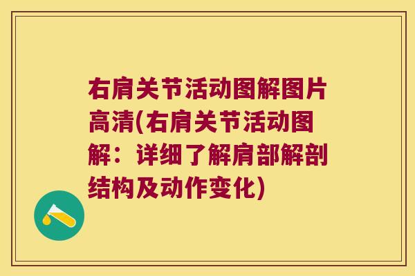 右肩关节活动图解图片高清(右肩关节活动图解:详细了解肩部解剖结构及动作变化)