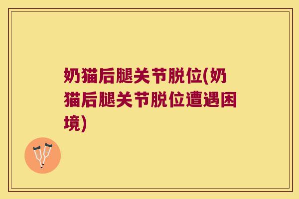 奶猫后腿关节脱位(奶猫后腿关节脱位遭遇困境)