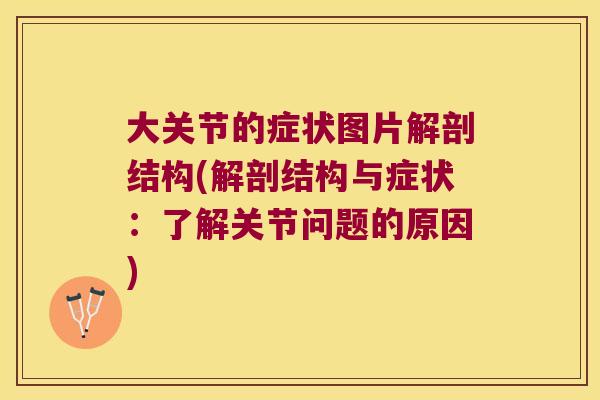 大关节的症状图片解剖结构(解剖结构与症状:了解关节问题的原因)