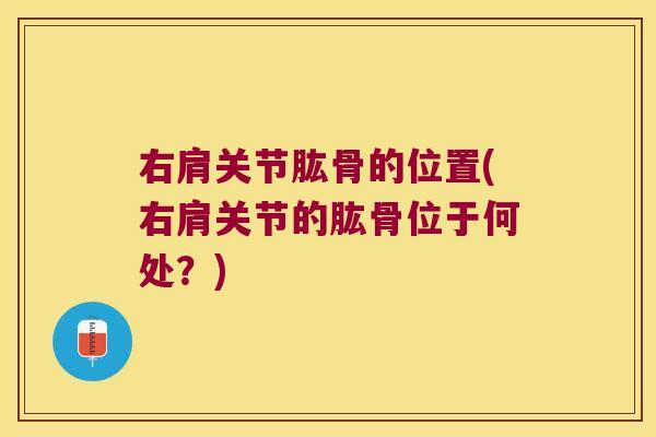 右肩关节肱骨的位置(右肩关节的肱骨位于何处?)
