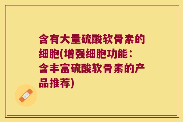 含有大量硫酸软骨素的细胞(增强细胞功能:含丰富硫酸软骨素的产品推荐)