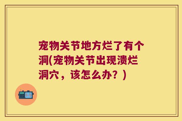 宠物关节地方烂了有个洞(宠物关节出现溃烂洞穴,该怎么办?)