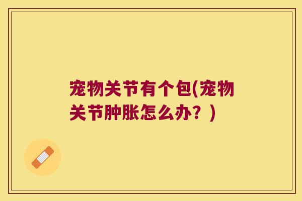 宠物关节有个包(宠物关节肿胀怎么办?)