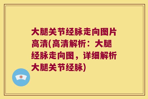 大腿关节经脉走向图片高清(高清解析:大腿经脉走向图,详细解析大腿关节经脉)