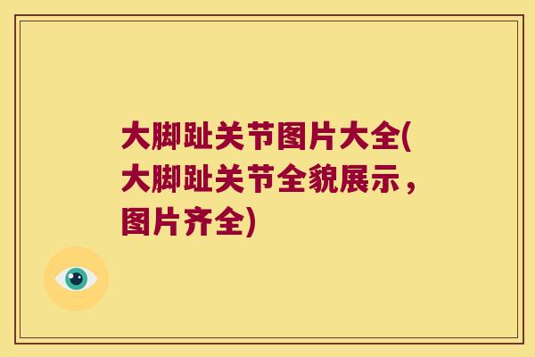 大脚趾关节图片大全(大脚趾关节全貌展示，图片齐全)