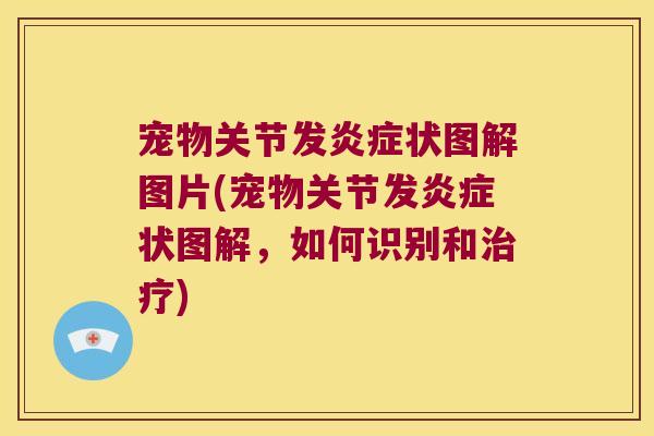 宠物关节发炎症状图解图片(宠物关节发炎症状图解,如何识别和治疗)