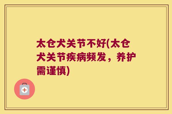 太仓犬关节不好(太仓犬关节疾病频发,养护需谨慎)