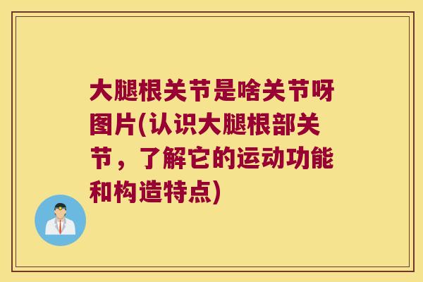 大腿根关节是啥关节呀图片(认识大腿根部关节,了解它的运动功能和构造特点)