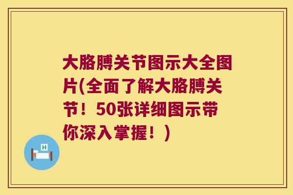 大胳膊关节图示大全图片(全面了解大胳膊关节!50张详细图示带你深入掌握!)