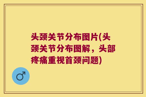 头颈关节分布图片(头颈关节分布图解,头部疼痛重视首颈问题)