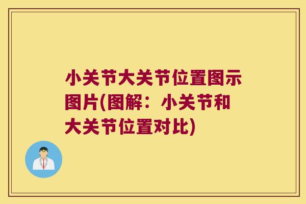 小关节大关节位置图示图片(图解:小关节和大关节位置对比)