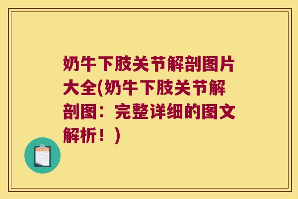 奶牛下肢关节解剖图片大全(奶牛下肢关节解剖图:完整详细的图文解析!)