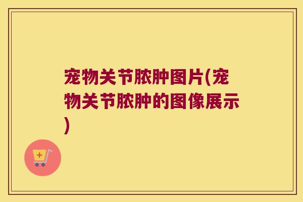 宠物关节脓肿图片(宠物关节脓肿的图像展示)