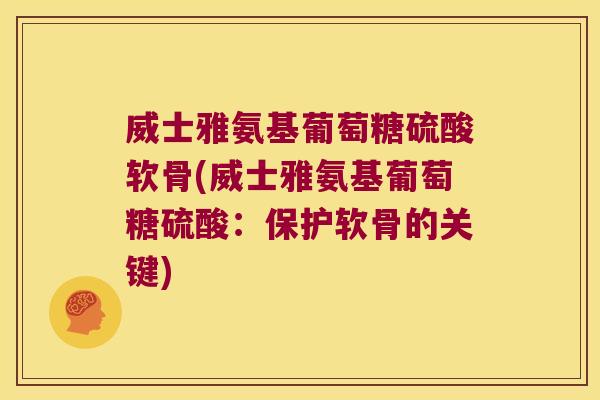 威士雅氨基葡萄糖硫酸软骨(威士雅氨基葡萄糖硫酸：保护软骨的关键)