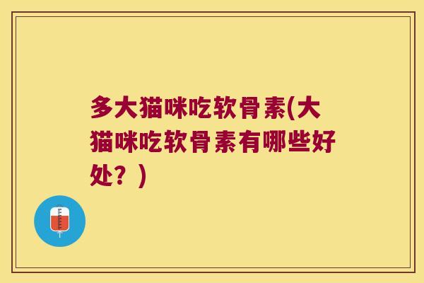 多大猫咪吃软骨素(大猫咪吃软骨素有哪些好处?)