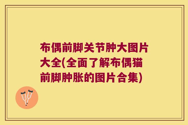 布偶前脚关节肿大图片大全(全面了解布偶猫前脚肿胀的图片合集)