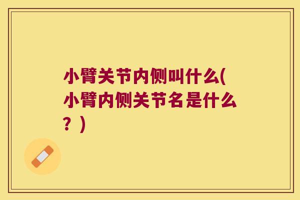 小臂关节内侧叫什么(小臂内侧关节名是什么？)