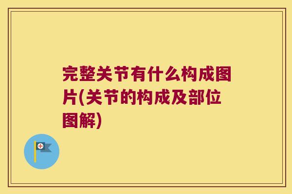 完整关节有什么构成图片(关节的构成及部位图解)