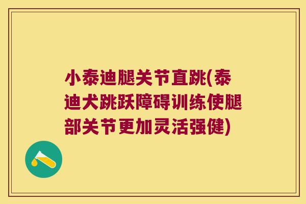 小泰迪腿关节直跳(泰迪犬跳跃障碍训练使腿部关节更加灵活强健)