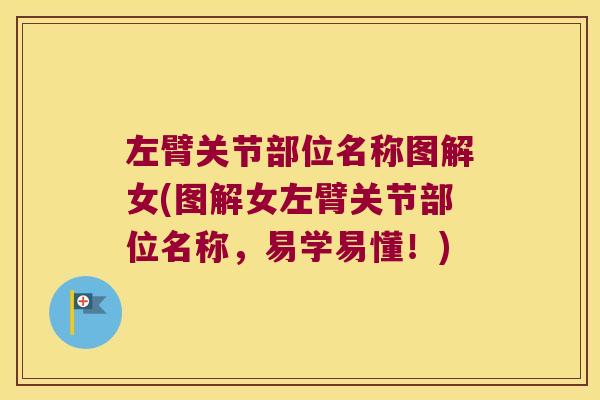 左臂关节部位名称图解女(图解女左臂关节部位名称,易学易懂!)
