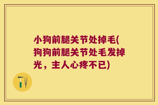 小狗前腿关节处掉毛(狗狗前腿关节处毛发掉光,主人心疼不已) 小狗前腿关节处掉毛(狗狗前腿关节处毛发掉光,主人心疼不已)