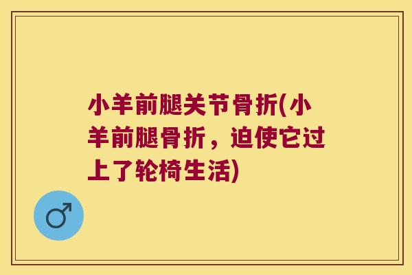 小羊前腿关节骨折(小羊前腿骨折,迫使它过上了轮椅生活)