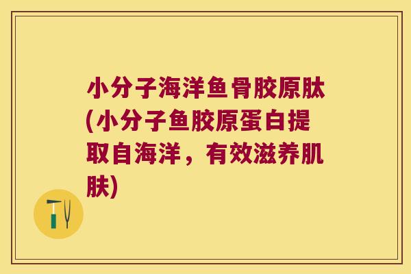 小分子海洋鱼骨胶原肽(小分子鱼胶原蛋白提取自海洋,有效滋养肌肤)