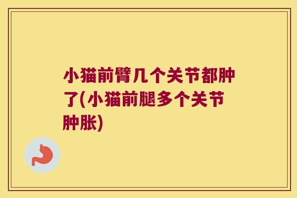 小猫前臂几个关节都肿了(小猫前腿多个关节肿胀)