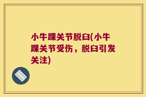 小牛踝关节脱臼(小牛踝关节受伤,脱臼引发关注)
