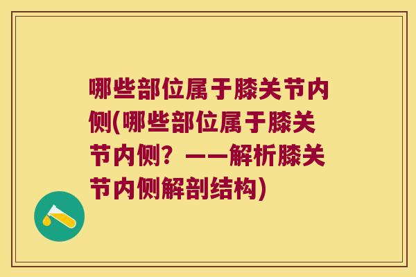 哪些部位属于膝关节内侧(哪些部位属于膝关节内侧?——解析膝关节内侧解剖结构)