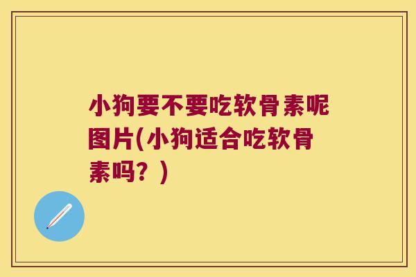 小狗要不要吃软骨素呢图片(小狗适合吃软骨素吗?)