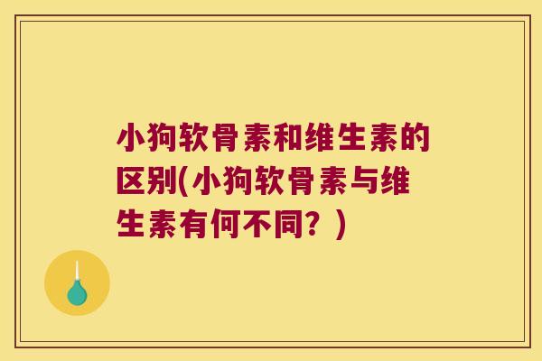 小狗软骨素和维生素的区别(小狗软骨素与维生素有何不同?)