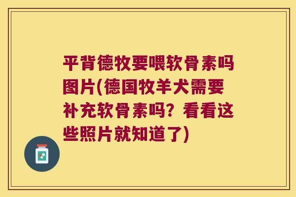 平背德牧要喂软骨素吗图片(德国牧羊犬需要补充软骨素吗?看看这些照片就知道了)