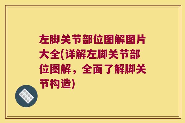 左脚关节部位图解图片大全(详解左脚关节部位图解,全面了解脚关节构造)