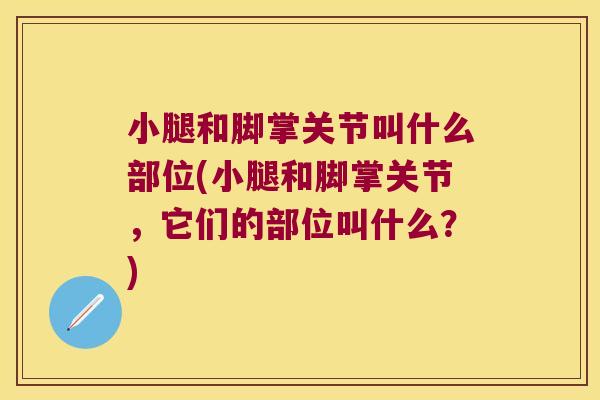 小腿和脚掌关节叫什么部位(小腿和脚掌关节,它们的部位叫什么?)