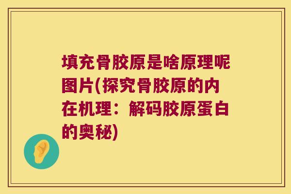 填充骨胶原是啥原理呢图片(探究骨胶原的内在机理:解码胶原蛋白的奥秘)
